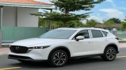 600 triệu tôi có những lựa chọn CUV nào?